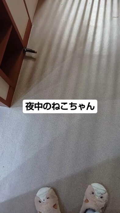 画像825