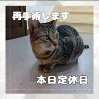 画像827