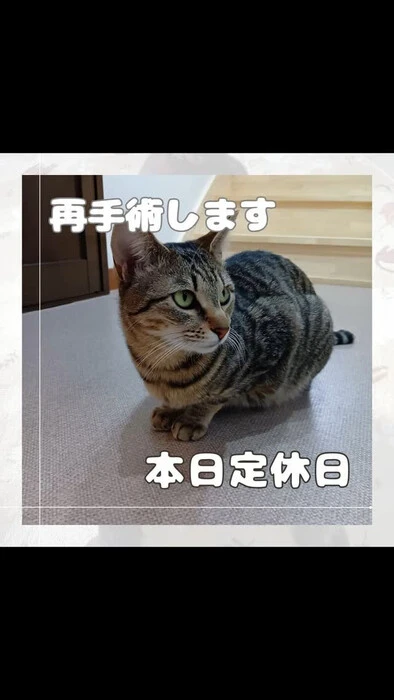 画像827
