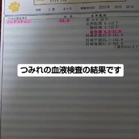 画像829