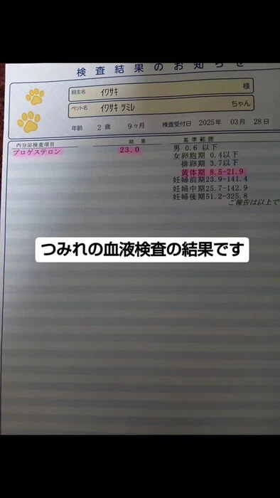 画像829