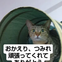 画像831