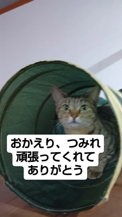 画像831