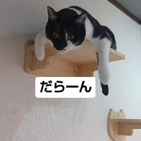 画像833