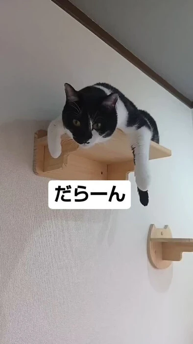 画像833