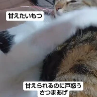 画像835