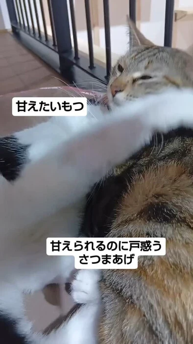 画像835