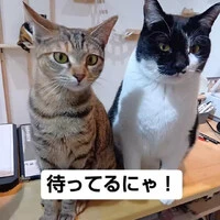画像837
