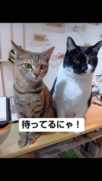 画像837