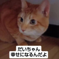 画像839