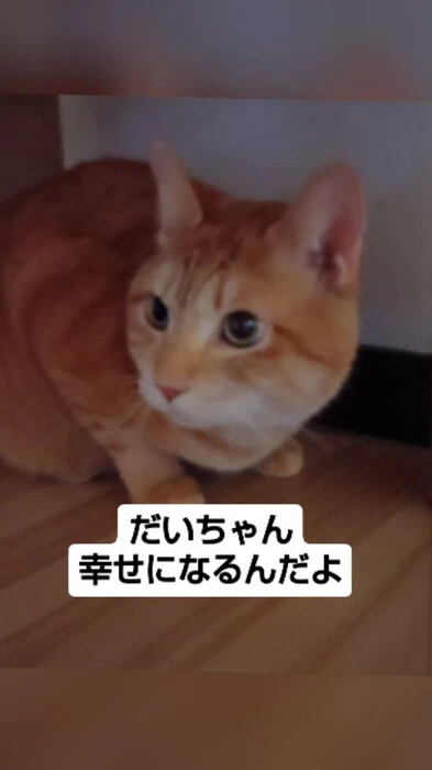 画像839