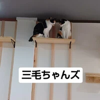 画像841