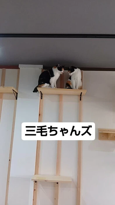 画像841
