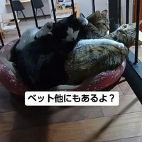 画像843