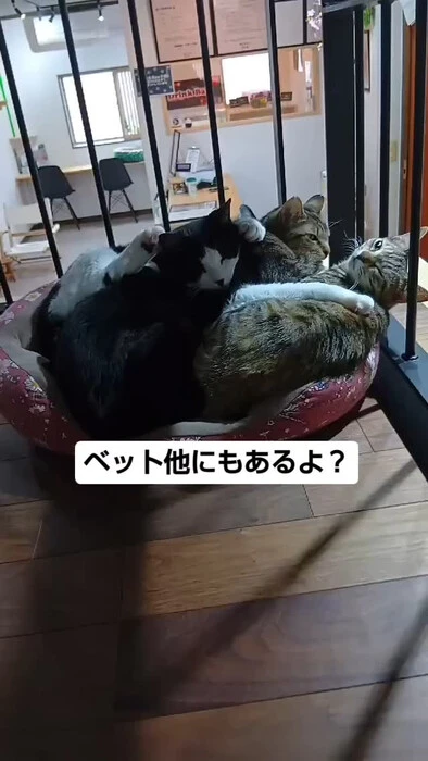 画像843