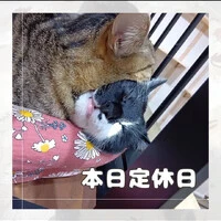 画像845