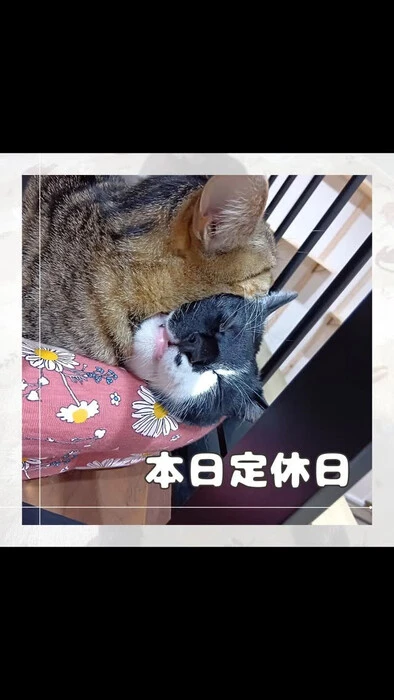 画像845