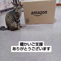 画像847
