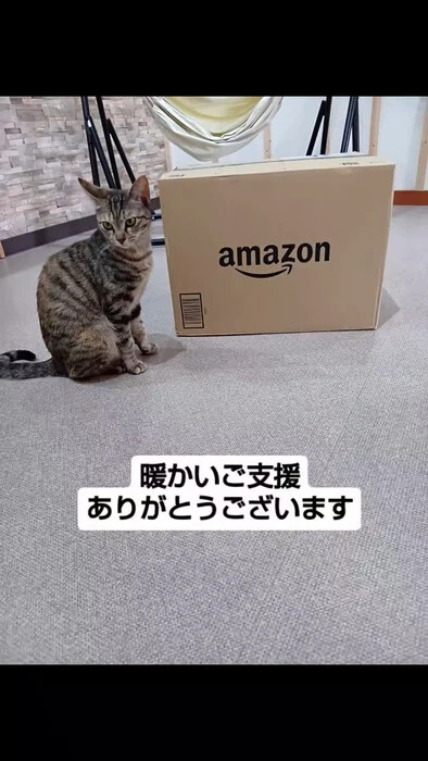 画像847