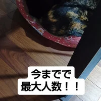 画像849