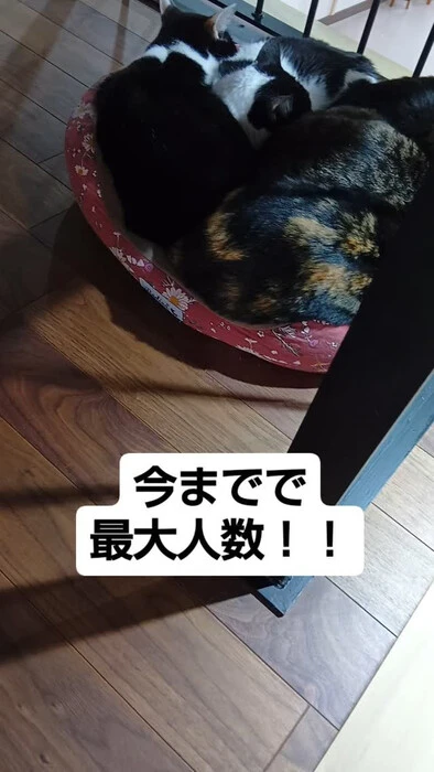 画像849
