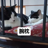 画像851