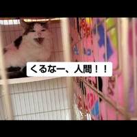 画像853
