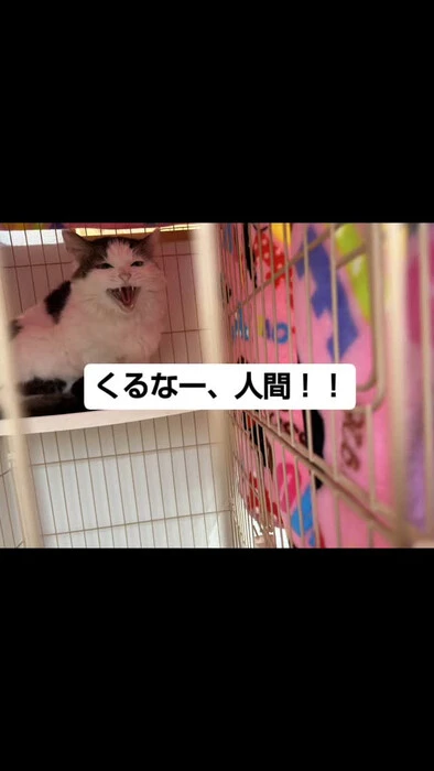 画像853