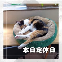 画像855