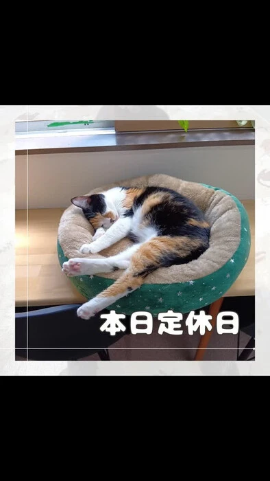 画像855