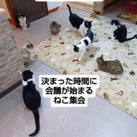画像857