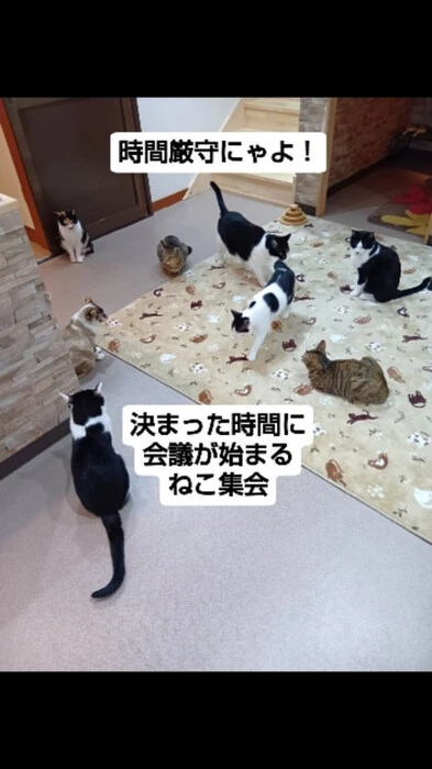 画像857
