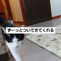 画像859