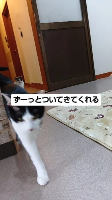 画像859