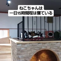 画像861