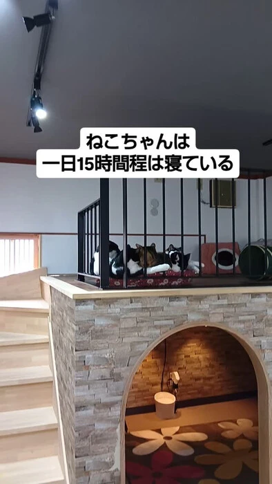 画像861
