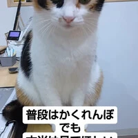 画像863