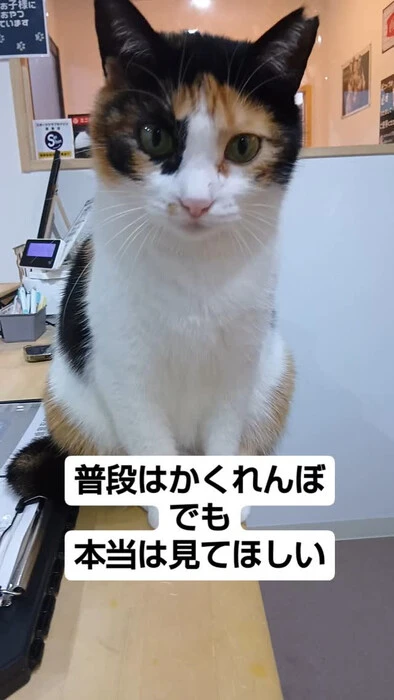 画像863