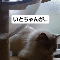 画像865