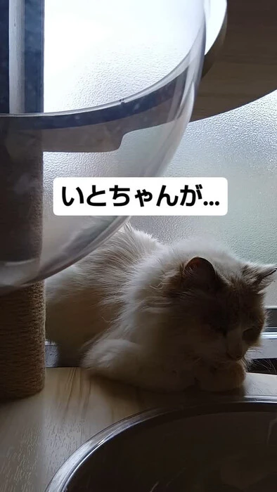 画像865