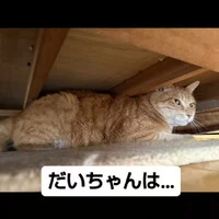 画像867