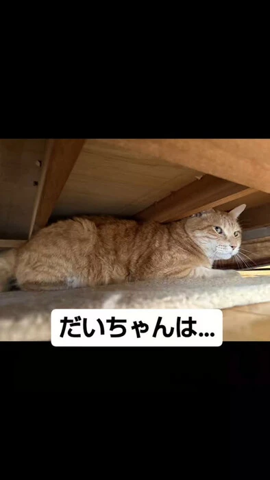 画像867