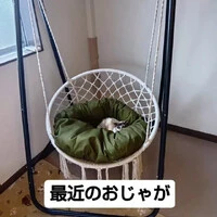 画像869