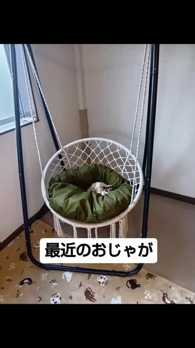 画像869