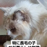 画像871
