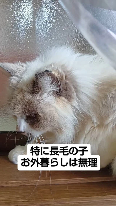 画像871