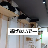 画像873