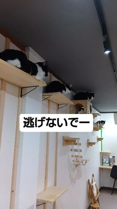 画像873