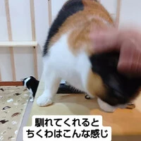 画像875