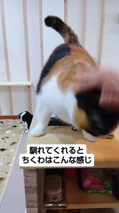 画像875